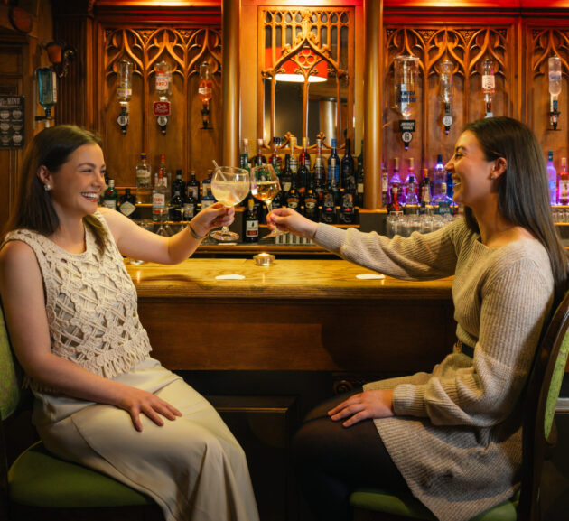 Bar counter people cheers 1 - Sligo Southern Hotel