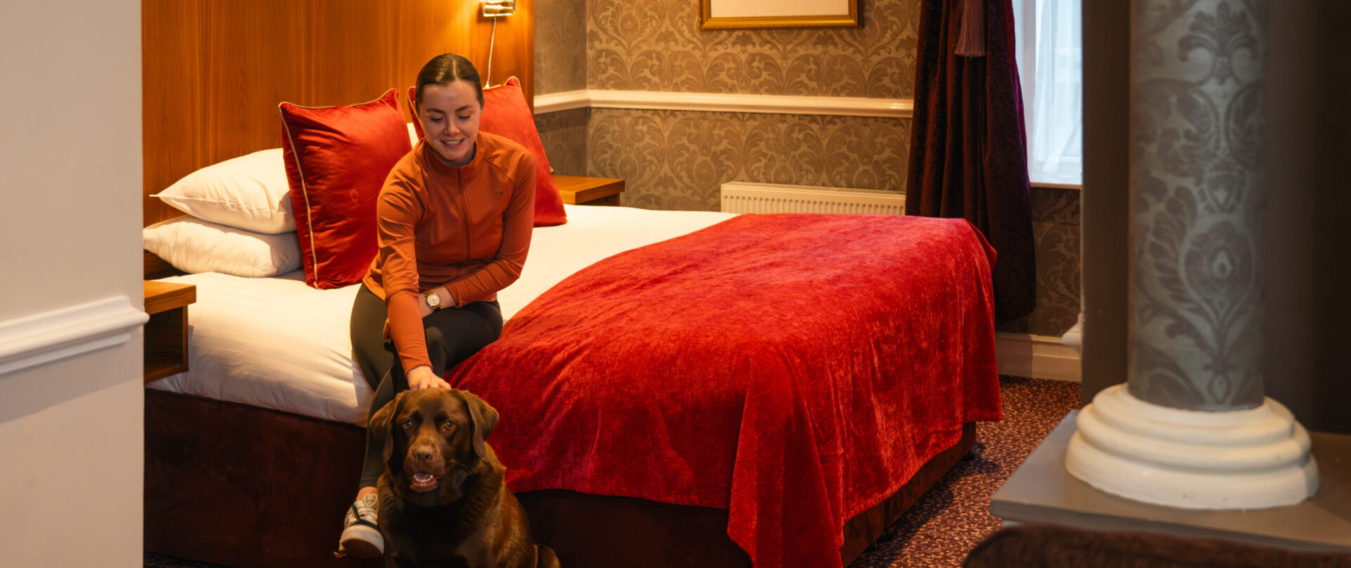 Dog friendly room 1 - Sligo Southern Hotel