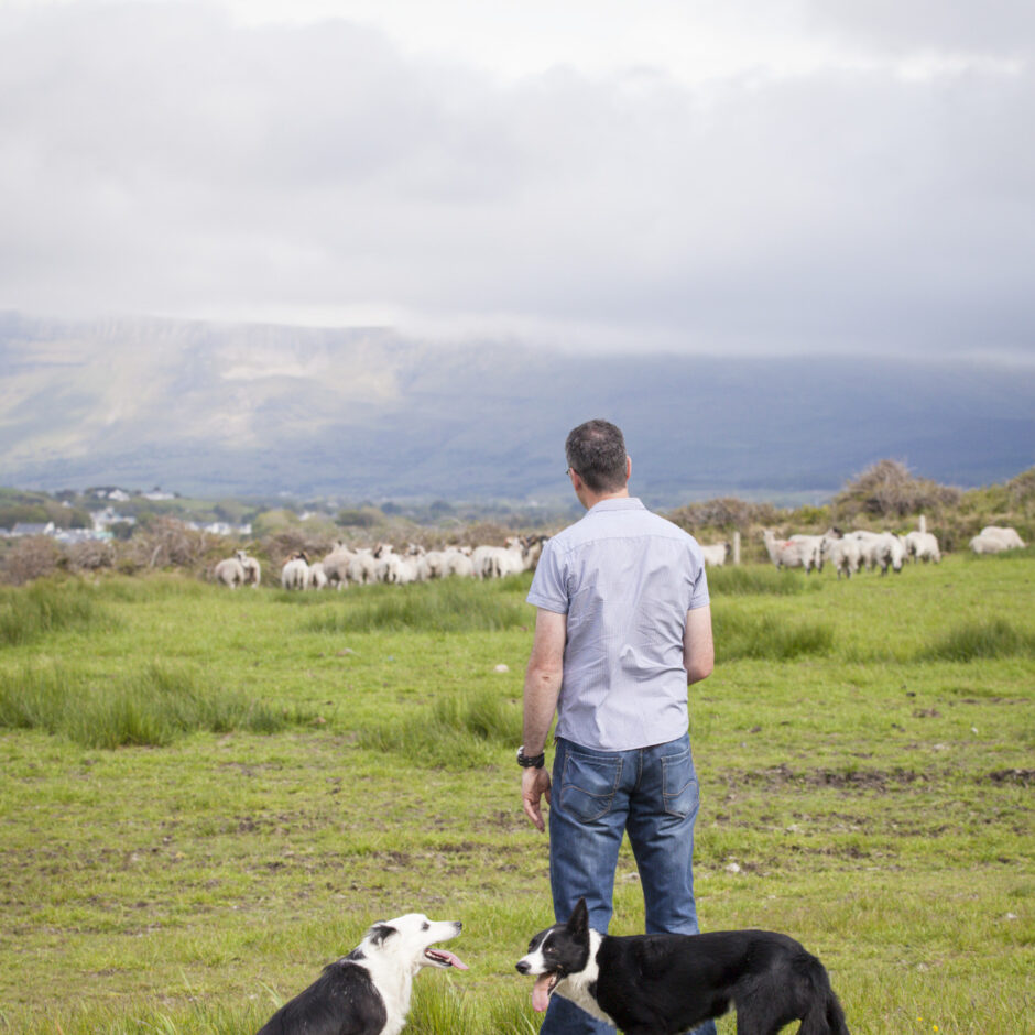 Atlantic Sheep Farm and Visitor Centre Grange Co Sligo master 1 - Sligo Southern Hotel