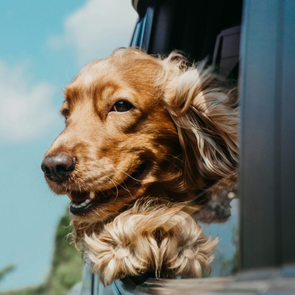 ja san miguel QQuvAwQ 0 unsplash - Sligo Southern Hotel