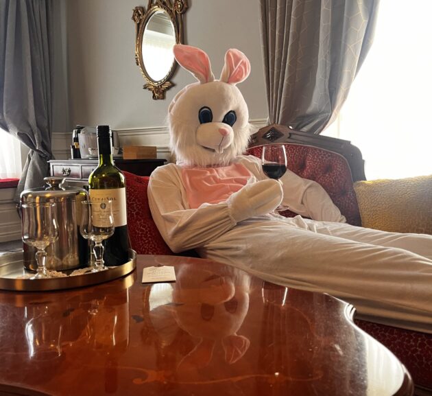 bunny rabbit - Sligo Southern Hotel